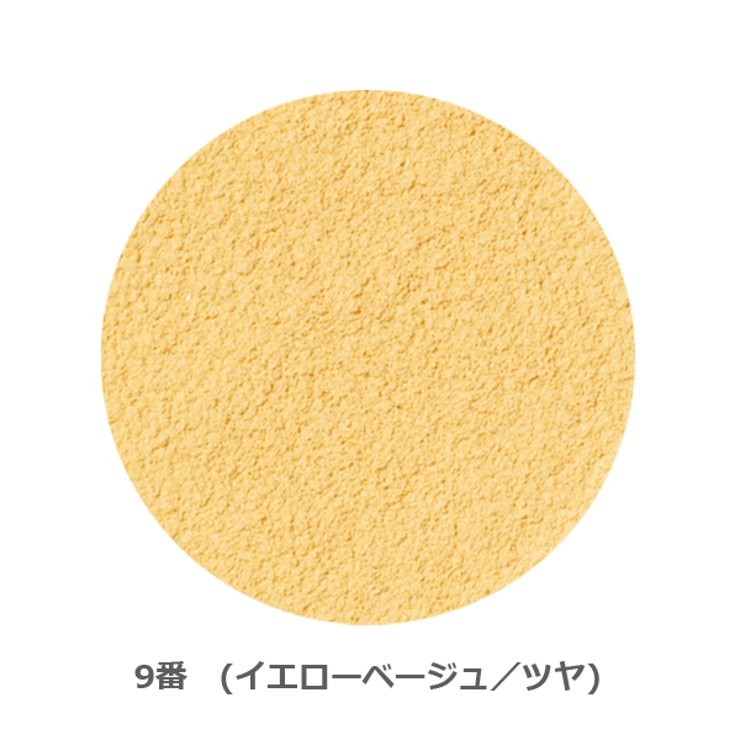 9 イエローベージュ | オンリーミネラル ファンデーション 5g ツヤタイプ （詰替用） | ONLY MINERALS