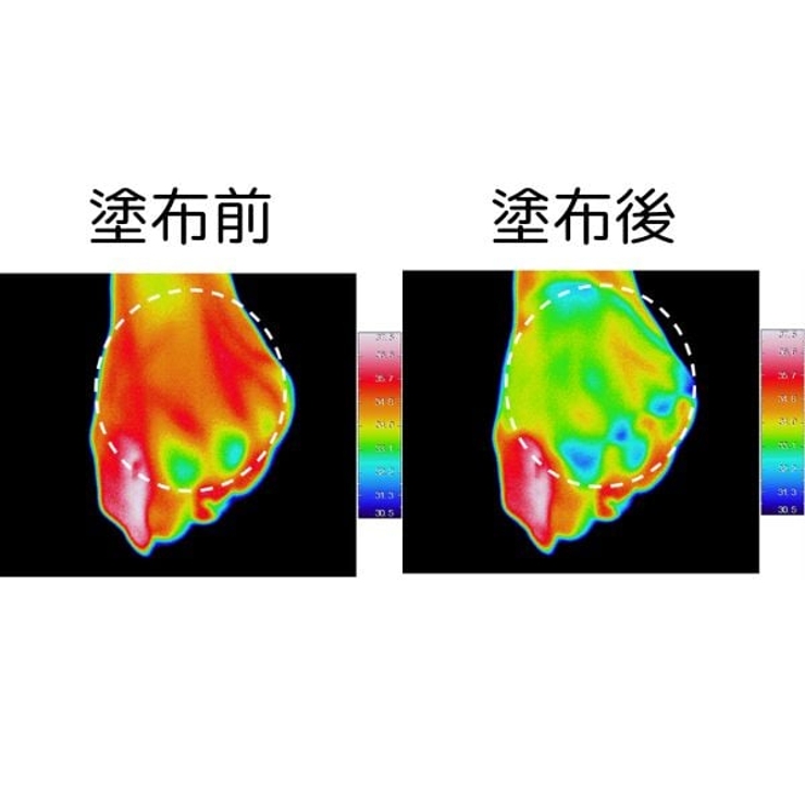 プロ・業務用 UVクリーム | プロ・業務用 | 詳細画像3 