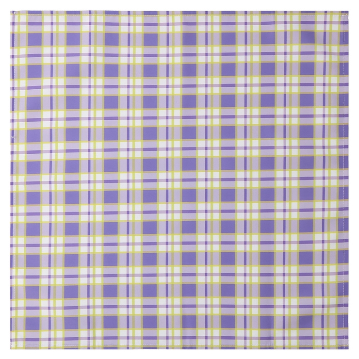 チェック切替 ランチクロス ランチョンマット | zooland | 詳細画像2 