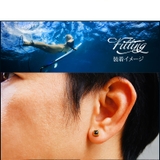 ステンレスアクセサリー 男女兼用 ピアスspi0065 | 2PIECES  | 詳細画像11 