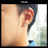 ◆pi0452●バラ売り 輝く白銀の星シルバースターピアス | 2PIECES | 詳細画像3