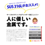 spi0072 ステンレスピアスセット 5サイズ全部入り！キュービックジルコニア | 2PIECES  | 詳細画像9 