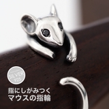 r0856 シルバーアクセサリー 男女兼用 | 2PIECES | 詳細画像1