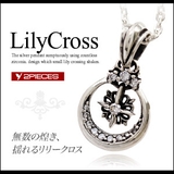 ◆pe1812●ペンダントトップのみ 無数の煌き 揺れるリリークロス | 2PIECES | 詳細画像1