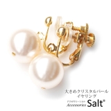 イヤリング 大ぶり 樹脂 | アクセサリーSalt | 詳細画像1