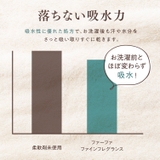【2個セット】FA ファインフレグランス 本体 570ML | Shoplimart＃ | 詳細画像16 