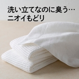 fabrush 洗濯槽クリーナー 550G | Shoplimart# | 詳細画像4