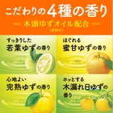 温泡 ONPO 炭酸湯 20錠入 | Shoplimart# | 詳細画像2