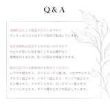 洗顔料 ムラサキ根エキス配合 整肌作用 | Areti | 詳細画像14 