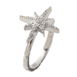 エレノアジュエリー/ノーススターリング | Elenore | 詳細画像2 