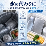 ステンレス製保冷剤 Sサイズ 長時間 | Aleh Te’enah | 詳細画像2