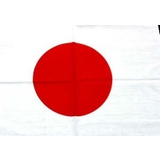Big Size 日本国旗 | T-LINK | 詳細画像3 