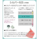 シルバーピアス フープピアス サソリ | YUKATANゆかたん | 詳細画像10 