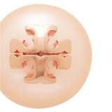 トリーバーチ ピアス アクセサリー | AXES | 詳細画像2 