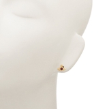 ヴィヴィアンウエストウッド ピアス ナノ | AXES | 詳細画像5 