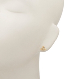 ヴィヴィアンウエストウッド ピアス ナノ | AXES | 詳細画像5 