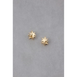 アスタリスクプチピアス | AZUL BY MOUSSY | 詳細画像3 