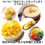 EAトCO ポロ コーンピーラー | BACKYARD FAMILY | 詳細画像5 