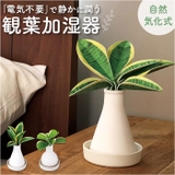 Beauwell ビーウェル SuPot 観葉加湿器 | BACKYARD FAMILY | 詳細画像1