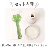 Beauwell ビーウェル SuPot 観葉加湿器 | BACKYARD FAMILY | 詳細画像10