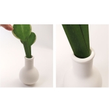 Beauwell ビーウェル SuPot 観葉加湿器 | BACKYARD FAMILY | 詳細画像11
