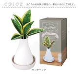 Beauwell ビーウェル SuPot 観葉加湿器 | BACKYARD FAMILY | 詳細画像14