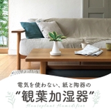 Beauwell ビーウェル SuPot 観葉加湿器 | BACKYARD FAMILY | 詳細画像2