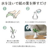 Beauwell ビーウェル SuPot 観葉加湿器 | BACKYARD FAMILY | 詳細画像4