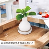 Beauwell ビーウェル SuPot 観葉加湿器 | BACKYARD FAMILY | 詳細画像7