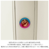 Easy Styler USB HEAT BRUSH | BACKYARD FAMILY | 詳細画像12