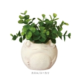 光触媒 インテリアグリーン アニマルポット | BACKYARD FAMILY | 詳細画像18