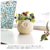 光触媒 インテリアグリーン アニマルポット | BACKYARD FAMILY | 詳細画像3