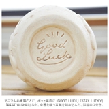 光触媒 インテリアグリーン アニマルポット | BACKYARD FAMILY | 詳細画像7