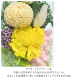 お供えガラスドーム | BACKYARD FAMILY | 詳細画像3 