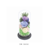 お供えガラスドーム | BACKYARD FAMILY | 詳細画像9 