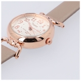 Plaisir プレジール NTK-271 ニッケルフリー ベルトウォッチ | BACKYARD FAMILY | 詳細画像7 