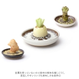 もとしげ おろし器 小 | BACKYARD FAMILY | 詳細画像4 