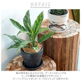 アーバンプランツポット マーブル ソリッド3号サイズ | BACKYARD FAMILY | 詳細画像2 