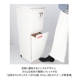 アスベル 分別ダストボックス ペダル2段 スリム 38L | BACKYARD FAMILY | 詳細画像2
