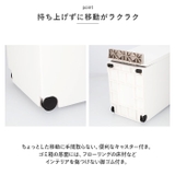 アスベル 分別ダストボックス ペダル2段 スリム 38L | BACKYARD FAMILY | 詳細画像8