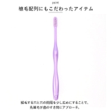 LT-53 磨きやすい歯ブラシ極 ふつう 6本組 | BACKYARD FAMILY | 詳細画像4 