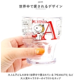 キャラクター プラカップ 300ml | BACKYARD FAMILY | 詳細画像6
