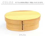 食洗器対応 曲げわっぱ弁当箱 S | BACKYARD FAMILY | 詳細画像12 