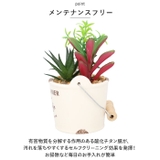 光触媒 バケツ | BACKYARD FAMILY | 詳細画像5