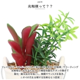 光触媒 バケツ | BACKYARD FAMILY | 詳細画像6