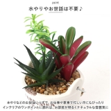 光触媒 バケツ | BACKYARD FAMILY | 詳細画像8