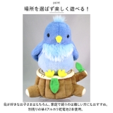 まねまね 幸福の青い鳥 | BACKYARD FAMILY | 詳細画像6