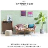 壁紙 シール pmysheet13 | BACKYARD FAMILY | 詳細画像10