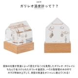 ガラスフロート 温度計 ハウス | BACKYARD FAMILY | 詳細画像6