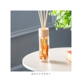 B-nature リードディフューザー 120ml | BACKYARD FAMILY | 詳細画像14